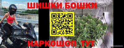 МДПВ Обь