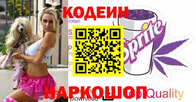 МДПВ Обь