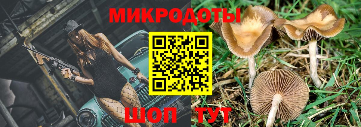 Псилоцибиновые грибы Psilocybine cubensis Тобольск