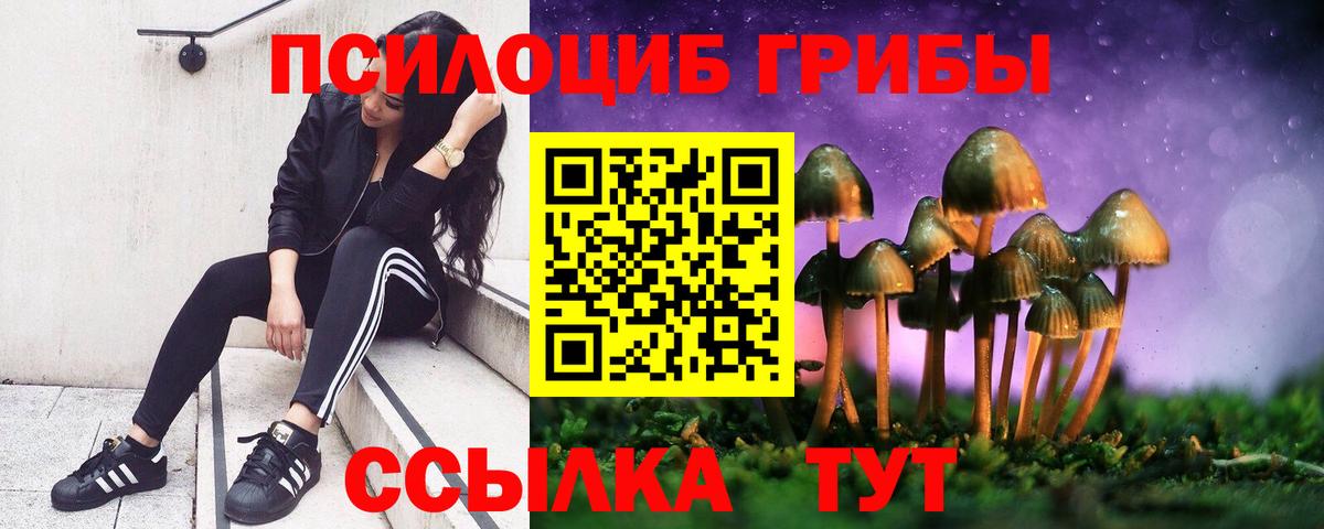 где купить наркотик  Псилоцибиновые грибы мицелий  Вход с VPN  Тобольск 